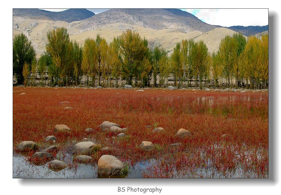 Red Grassland, Dao Cheng, Sichuan Province.jpg